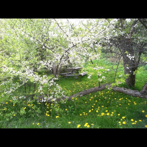 I’m Angela 🎀BREAST 🎀CANCER 🎀WARRIOR - Picture 8 of 8